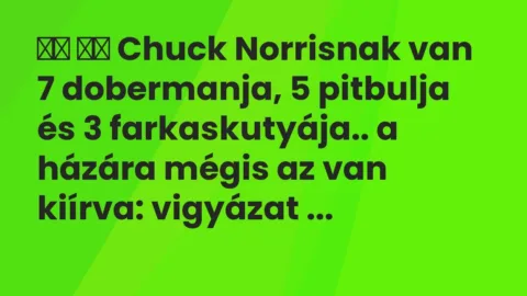 Vicc: 
		  
		  Chuck Norrisnak van 7 dobermanja, 5 pitbulja és 3…
