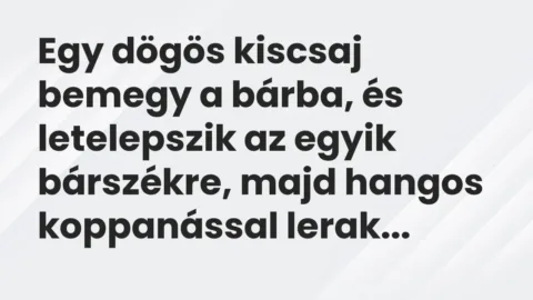 Vicc: Egy dögös kiscsaj bemegy a bárba, és letelepszik az egyik bárszékre, majd hangos…