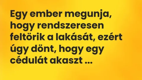 Vicc: Egy ember megunja, hogy rendszeresen feltörik a lakását, ezért úgy dönt, hogy…
