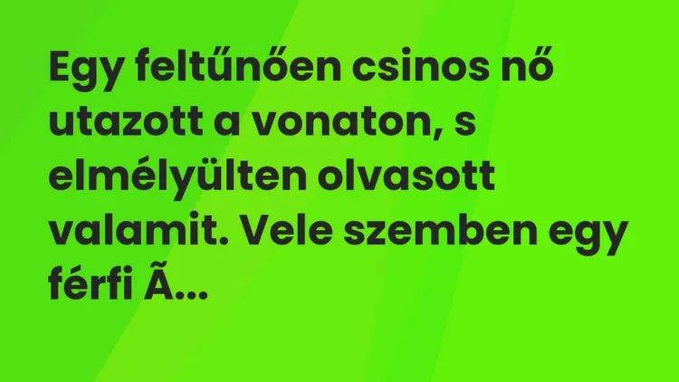 Vicc: Egy feltűnően csinos nő utazott a vonaton, s elmélyülten olvasott valamit. Vele… Vicc: Egy feltűnően csinos nő utazott a vonaton, s elmélyülten olvasott valamit. Vele…