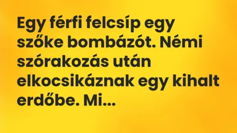 Vicc: Egy férfi felcsíp egy szőke bombázót. Némi szórakozás után elkocsikáznak egy…