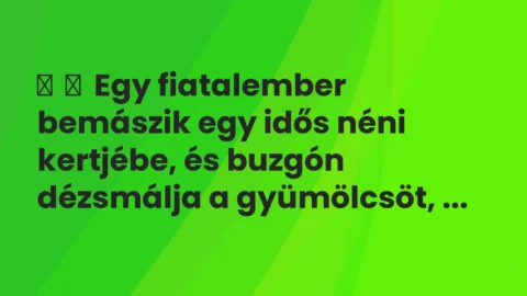 Vicc: 
	    	    Egy fiatalember bemászik egy idős néni kertjébe, és buzgón dézsmálja …