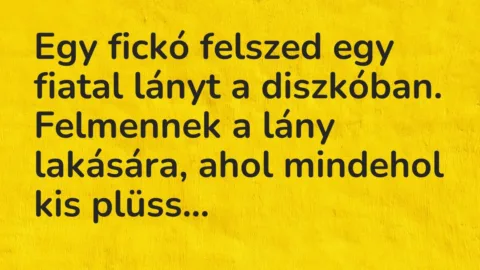 Vicc: Egy fickó felszed egy fiatal lányt a diszkóban. Felmennek a lány lakására, ahol…