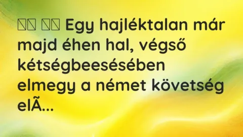 Vicc: 
		  
		  Egy hajléktalan már majd éhen hal, végső kétségbeesésében…
