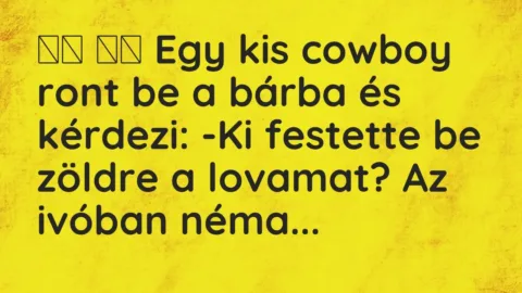 Vicc: 
		  
		  Egy kis cowboy ront be a bárba és kérdezi: -Ki festette be …