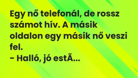Vicc: Egy nő telefonál, de rossz számot hív. A másik oldalon egy másik nő veszi…