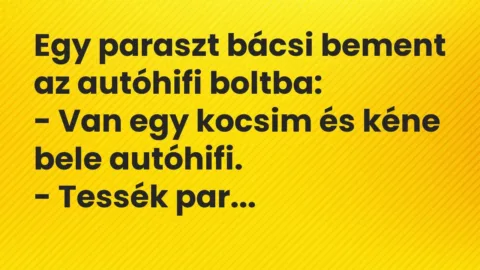 Vicc: Egy paraszt bácsi bement az autóhifi boltba:

– Van egy kocsim és kéne bele…