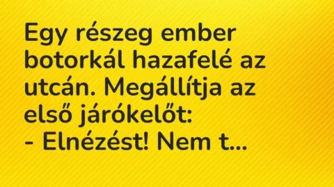 Vicc: Egy részeg ember botorkál hazafelé az utcán. Megállítja az első…