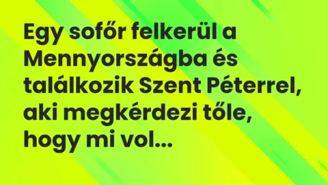 Vicc: Egy sofőr felkerül a Mennyországba és találkozik Szent Péterrel, aki megkérdezi…