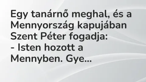 Vicc: Egy tanárnő meghal, és a Mennyország kapujában Szent Péter fogadja:

– Isten…