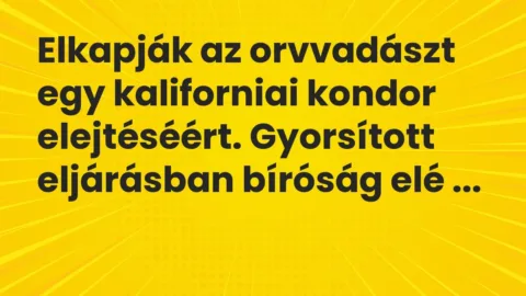 Vicc: Elkapják az orvvadászt egy kaliforniai kondor elejtéséért. Gyorsított eljárásban…