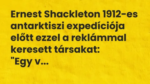 Vicc: Ernest Shackleton 1912-es antarktiszi expedíciója előtt ezzel a reklámmal…
