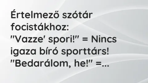 Vicc: Értelmező szótár focistákhoz:

“Vazze’ spori!” = Nincs igaza bíró…