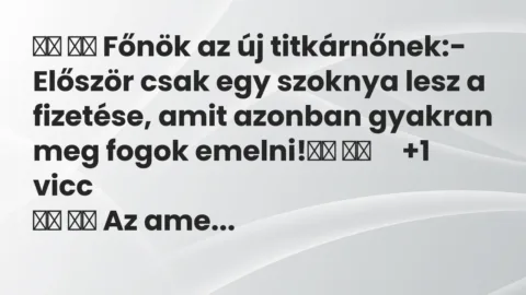 Vicc: 
		  
		  Főnök az új titkárnőnek:- Először csak egy szoknya lesz…