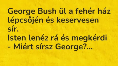 Vicc: George Bush ül a fehér ház lépcsőjén és keservesen sír.

Isten lenéz rá és…