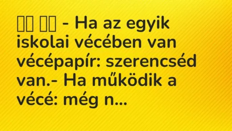 Vicc: 
		  
		  – Ha az egyik iskolai vécében van vécépapír: szerencséd van…
