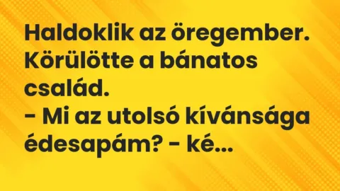 Vicc: Haldoklik az öregember. Körülötte a bánatos család.

– Mi az utolsó kívánság…