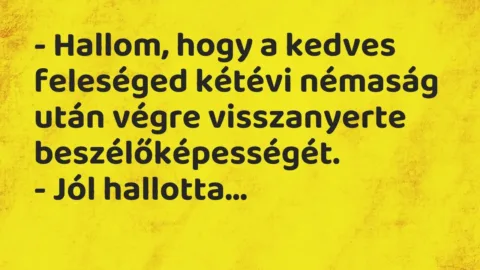 Vicc: – Hallom, hogy a kedves feleséged kétévi némaság után végre visszanyerte…