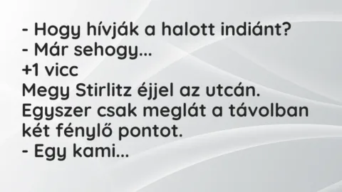 Vicc: – Hogy hívják a halott indiánt?

– Már sehogy…