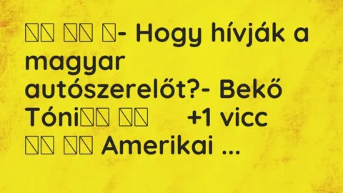 Vicc: 
		  
		  ‎- Hogy hívják a magyar autószerelőt?- Bekő Tóni		 …