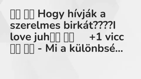 Vicc: 
		  
		  Hogy hívják a szerelmes birkát????I love juh		 …