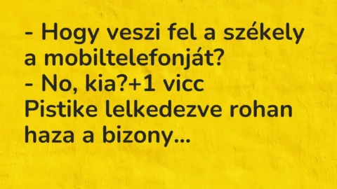 Vicc: – Hogy veszi fel a székely a mobiltelefonját?

– No, kia?