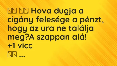 Vicc: 
		  
		  Hova dugja a cigány felesége a pénzt, hogy az ura ne…
