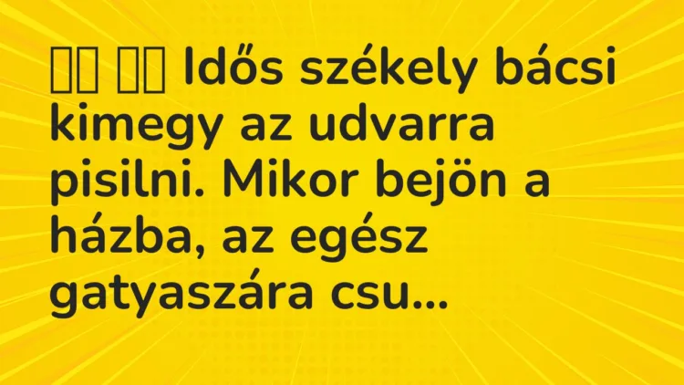Vicc: 
		  
		  Idős székely bácsi kimegy az udvarra pisilni. Mikor bejön a…
