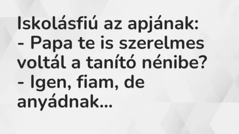 Vicc: Iskolásfiú az apjának:

– Papa te is szerelmes voltál a tanító…