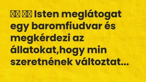 Vicc: 
		  
		  Isten meglátogat egy baromfiudvar és megkérdezi az…