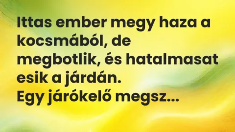Vicc: Ittas ember megy haza a kocsmából, de megbotlik, és hatalmasat esik a…