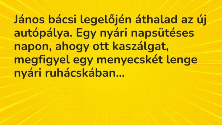 Vicc: János bácsi legelőjén áthalad az új autópálya. Egy nyári napsütéses napon, ahogy… Vicc: János bácsi legelőjén áthalad az új autópálya. Egy nyári napsütéses napon, ahogy…