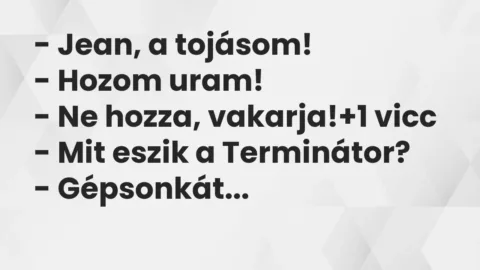 Vicc: – Jean, a tojásom!

– Hozom uram!

– Ne hozza, vakarja!