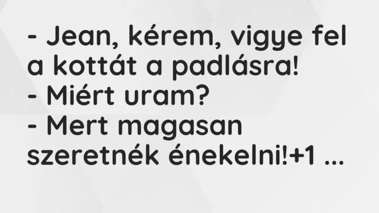 Vicc: – Jean, kérem, vigye fel a kottát a padlásra!
– Miért uram?
– Mert… Vicc: – Jean, kérem, vigye fel a kottát a padlásra!
– Miért uram?
– Mert…