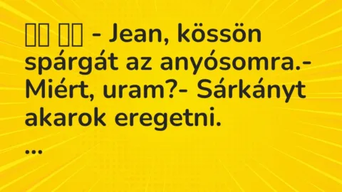 Vicc: 
		  
		  – Jean, kössön spárgát az anyósomra.- Miért, uram?-…