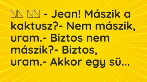 Vicc: 
		  
		  – Jean! Mászik a kaktusz?- Nem mászik, uram.-…