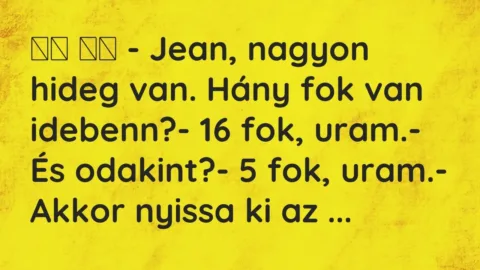 Vicc: 
		  
		  – Jean, nagyon hideg van. Hány fok van idebenn?- 16 fok…