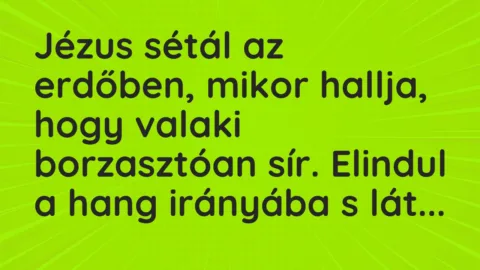 Vicc: Jézus sétál az erdőben, mikor hallja, hogy valaki borzasztóan sír. Elindul a…