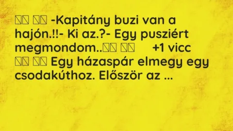 Vicc: 
		  
		  -Kapitány buzi van a hajón.!!- Ki az.?- Egy…