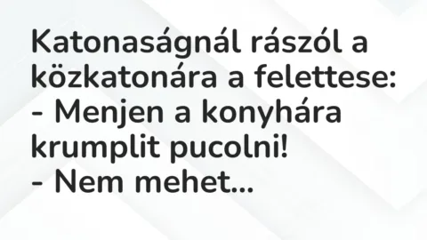 Vicc: Katonaságnál rászól a közkatonára a felettese:

– Menjen a konyhára krumplit…