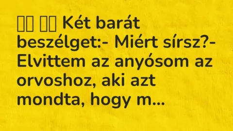 Vicc: 
		  
		  Két barát beszélget:- Miért sírsz?- Elvittem az…