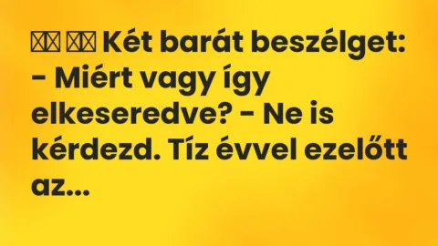 Vicc: 
		  
		  Két barát beszélget: – Miért vagy így elkeseredve? – Ne is …