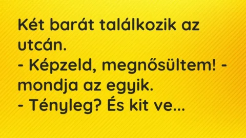 Vicc: Két barát találkozik az utcán.

– Képzeld, megnősültem! – mondja az…