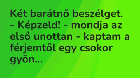Vicc: Két barátnő beszélget.

– Képzeld! – mondja az első unottan – kaptam a…