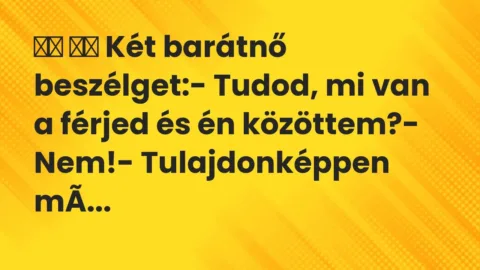 Vicc: 
		  
		  Két barátnő beszélget:- Tudod, mi van a férjed és én…