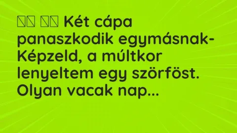 Vicc: 
		  
		  Két cápa panaszkodik egymásnak- Képzeld, a múltkor…