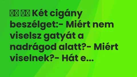 Vicc: 
		  
		  Két cigány beszélget:- Miért nem viselsz gatyát a…