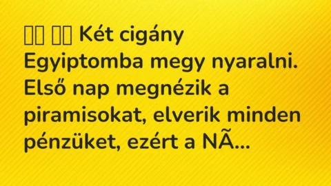 Vicc: 
		  
		  Két cigány Egyiptomba megy nyaralni. Első nap megnézik a…
