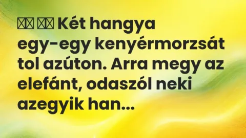 Vicc: 
		  
		  Két hangya egy-egy kenyérmorzsát tol azúton. Arra megy …