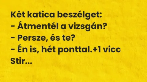 Vicc: Két katica beszélget:

– Átmentél a vizsgán?

– Persze, és te?

– Én…